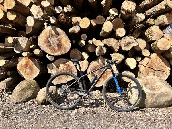 How good is an AliExpress Carbon MTB?